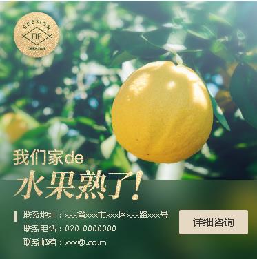 吴堡果园果林小程序开发